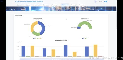 基于Hadoop平臺的電信客服數據處理與分析系統 數據處理服務助你突破畢設難關