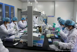 天水市舉辦縣級獸醫實驗室檢測技術培訓班，提升技術服務能力